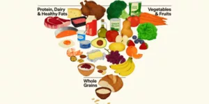 the new food pyramid